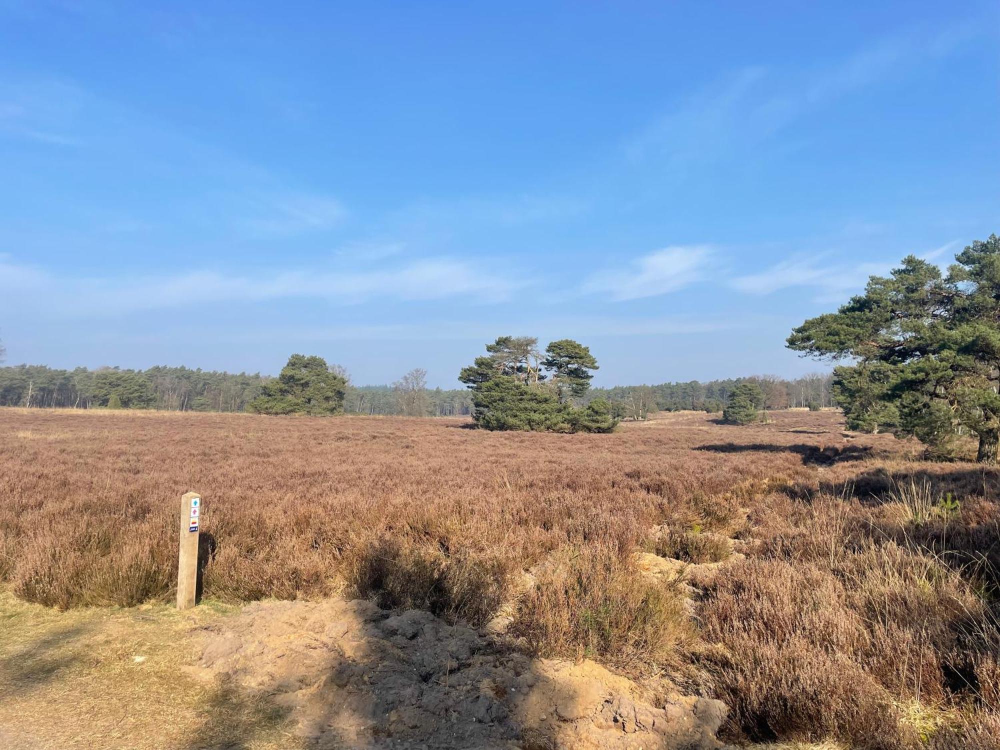 B&B Oud-Zilven Loenen Luaran gambar
