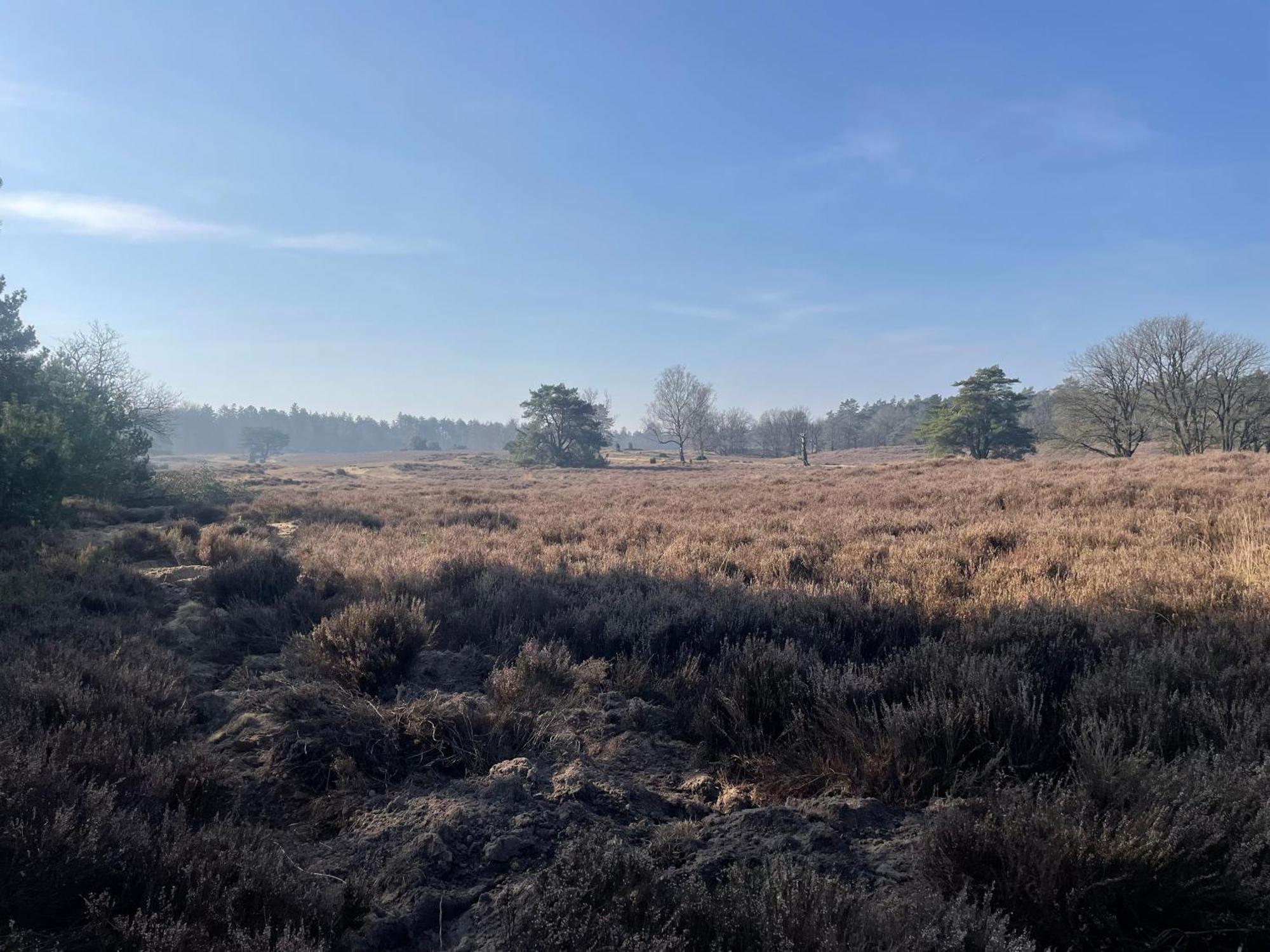 B&B Oud-Zilven Loenen Luaran gambar